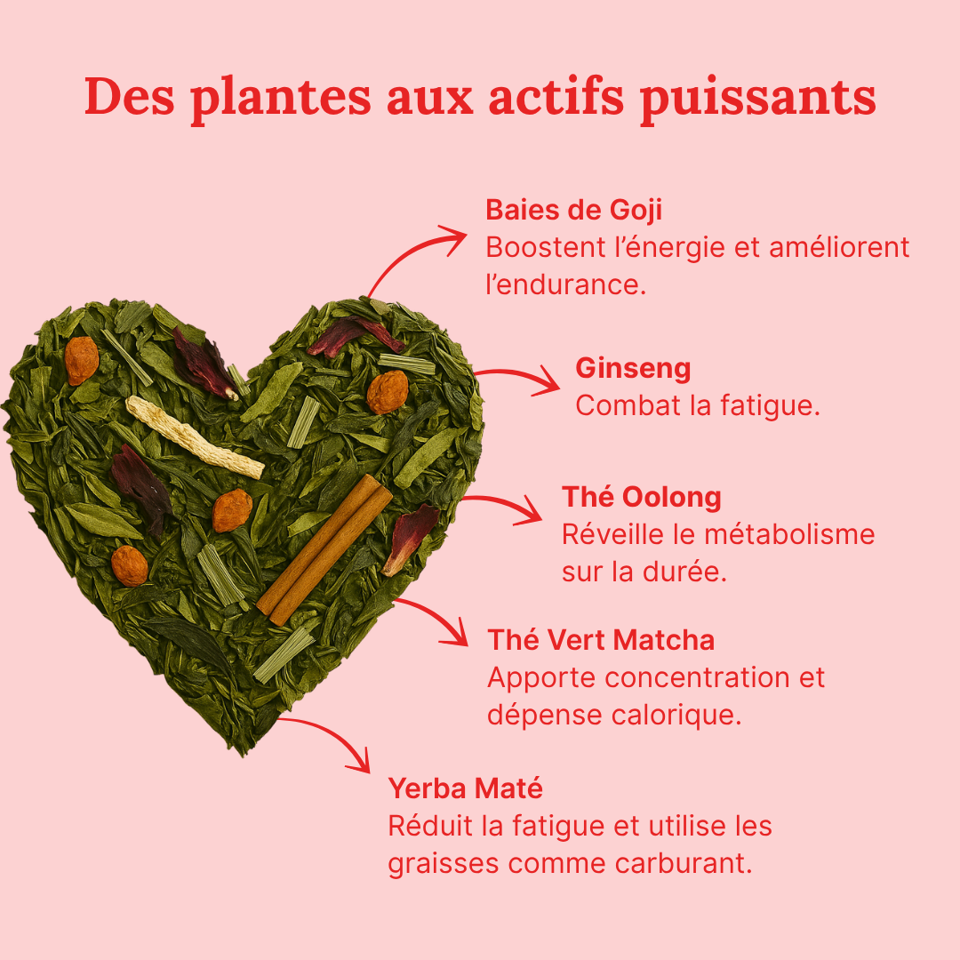 Tisane Boost Énergie
