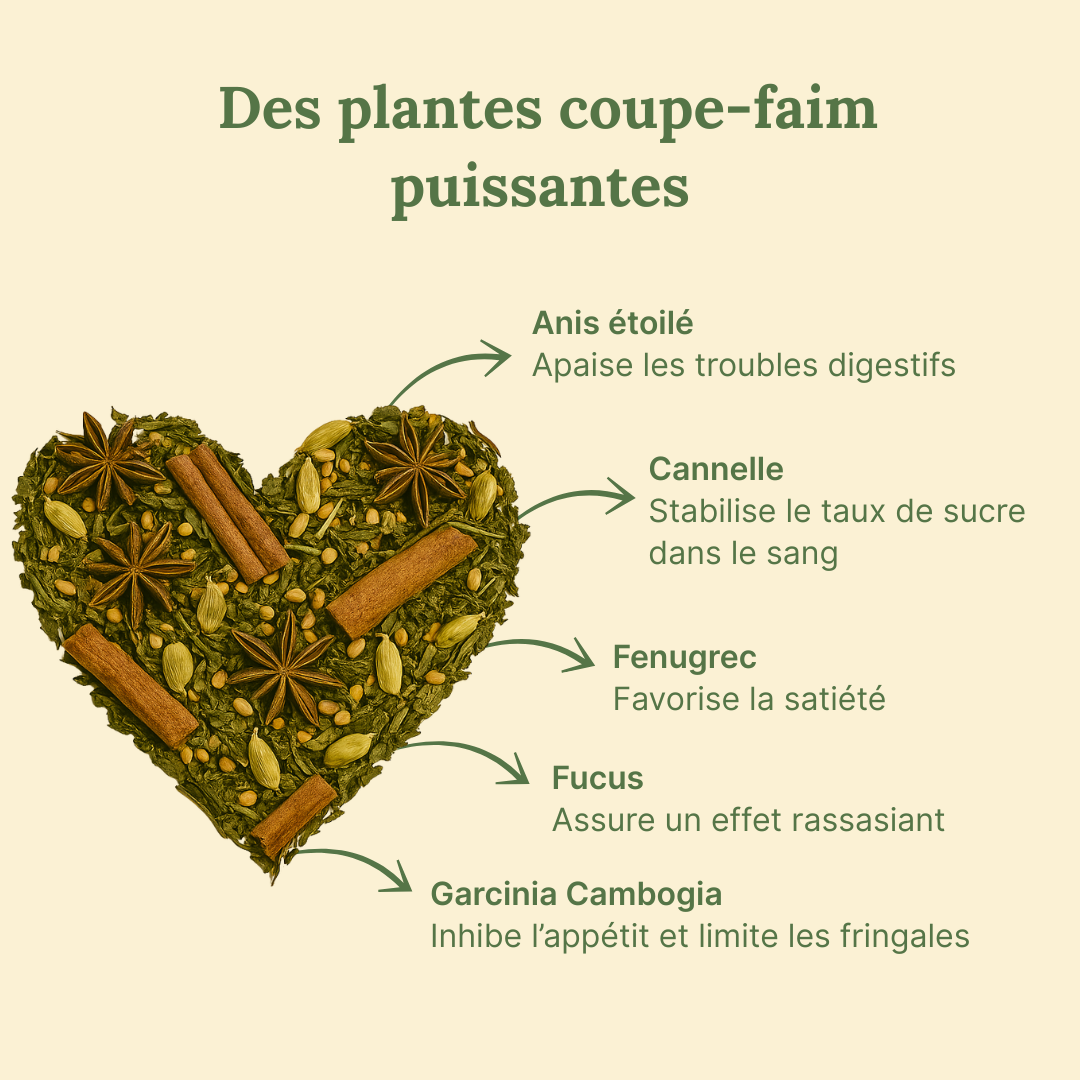 Tisane Coupe-faim