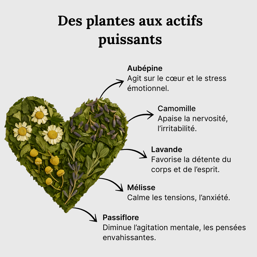 Tisane Anti-Stress