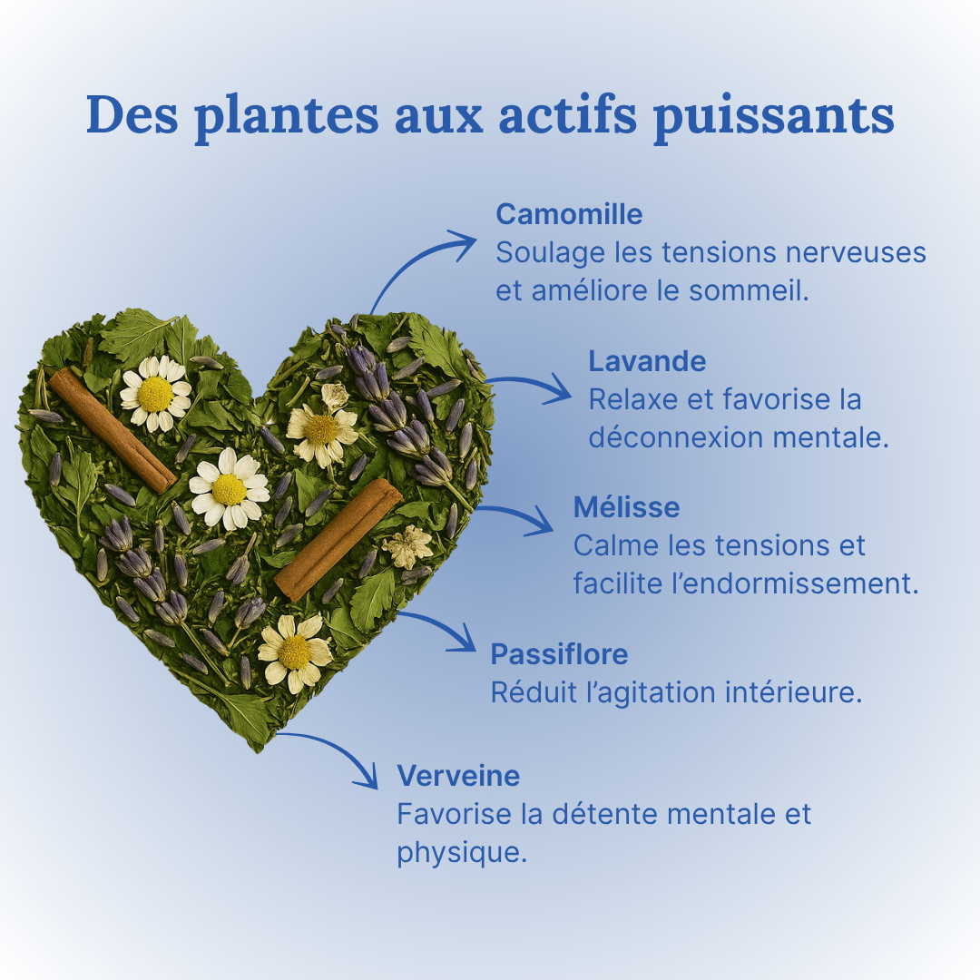 Tisane Douce Nuit